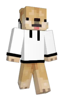 Lildragoncheese Minecraft avatar full body