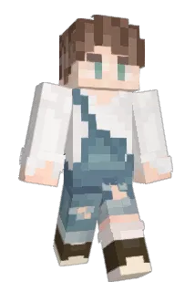 Lillbus2005 Minecraft avatar full body