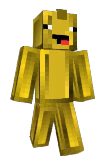 Lille479 Minecraft avatar full body