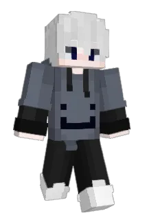 Lillebrushan Minecraft avatar full body