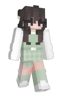 Lillipad2000 Minecraft avatar full body