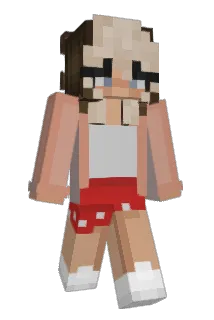 Lillnissen Minecraft avatar full body