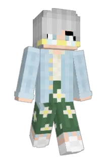 Lilybugg Minecraft avatar full body