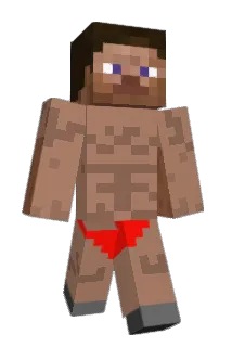 LinMountain Minecraft avatar full body