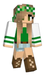 Custom render preview