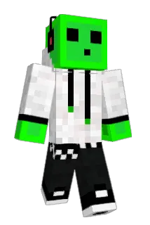Link1309 Minecraft avatar full body