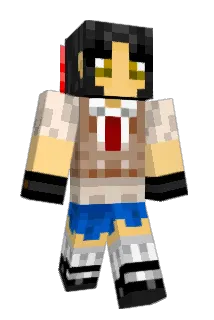 Link4991 Minecraft avatar full body