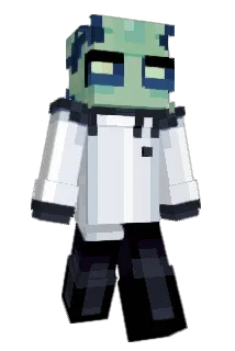 Linterbug Minecraft avatar full body