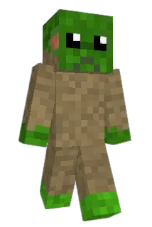 LiorSon Minecraft avatar full body
