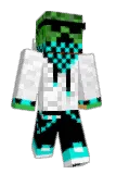 Lipacek Minecraft avatar full body