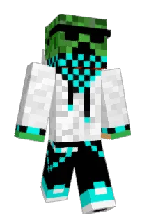 Lipacek Minecraft avatar full body