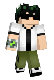 Lipe4009 Minecraft avatar full body