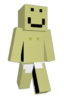 Liquihog Minecraft avatar full body