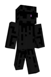 LitFkm31 Minecraft avatar full body