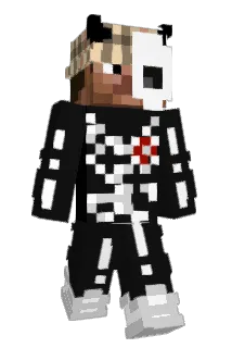 Litchi6 Minecraft avatar full body