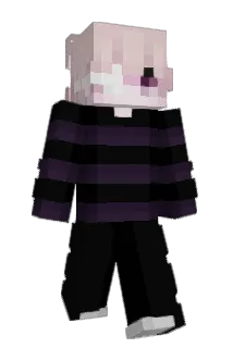 Lite9i Minecraft avatar full body