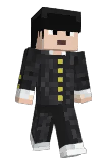 LiteVVeight Minecraft avatar full body
