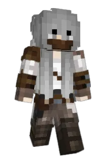 Literapol Minecraft avatar full body