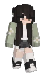 Custom render preview