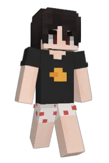 Litispendencia Minecraft avatar full body