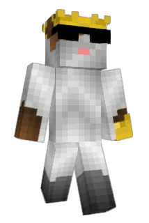 LittleBrother81 Minecraft avatar full body