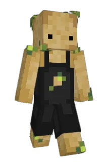 LittleHoePotato Minecraft avatar full body