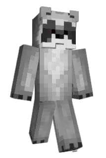LittleRaccon1199 Minecraft avatar full body