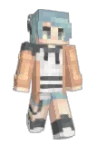 Little_Saurd Minecraft avatar full body