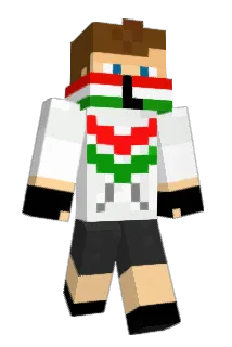 Litwin271 Minecraft avatar full body