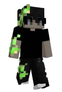 Litzek Minecraft avatar full body