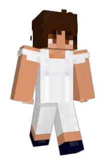 Livtoid Minecraft avatar full body