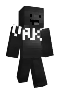 Liwai1207 Minecraft avatar full body