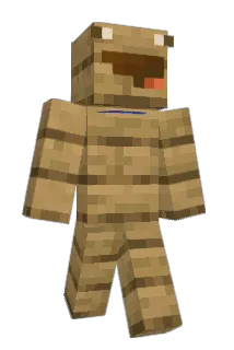 Lix_P00 Minecraft avatar full body