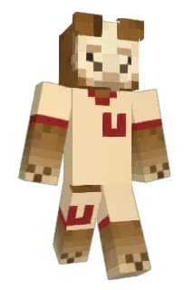 Llacho Minecraft avatar full body