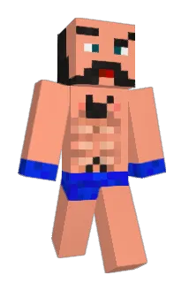 LlamaSWAG Minecraft avatar full body