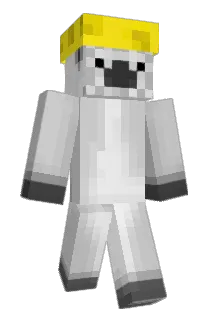 Llamarider101 Minecraft avatar full body