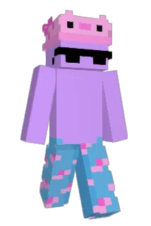 Llrec Minecraft avatar full body