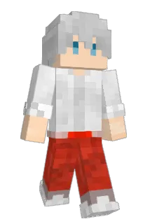 Llymons Minecraft avatar full body