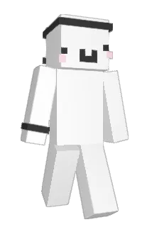 Lnpi Minecraft avatar full body