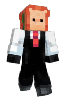 Loadiinq_ Minecraft avatar full body