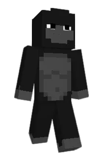 LocalMonkeYt Minecraft avatar full body
