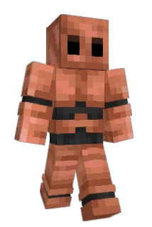 LocoWhyte Minecraft avatar full body