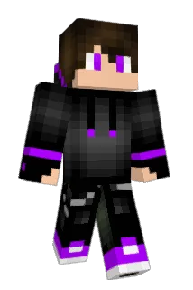 Logicseal Minecraft avatar full body