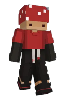 Logyn Minecraft avatar full body