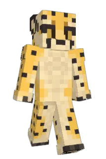 Loidkaa Minecraft avatar full body
