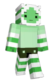 Loopin_ Minecraft avatar full body