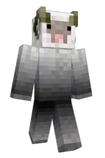 LordBoxTurtle Minecraft avatar full body