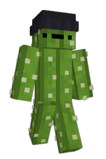 LordKaktusas Minecraft avatar full body