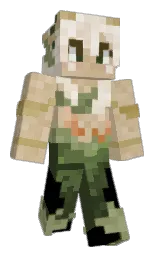 Custom render preview