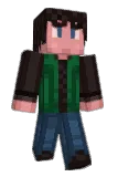 Losm Minecraft avatar full body